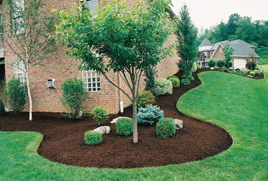 Spring Clean Up Estimate